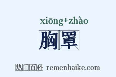 胸罩是什么意思的图片